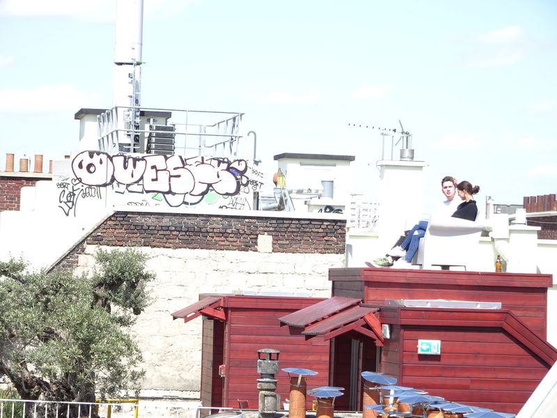 DSC00216 Dachgarrten Mallaird 2 (2)