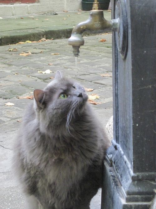 Cour Reuilly 11e Arr. 014