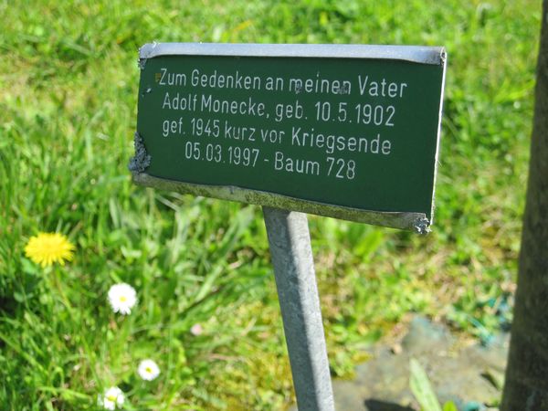 IMG_6330