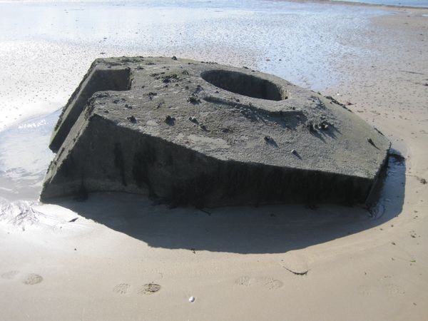 IMG_6498