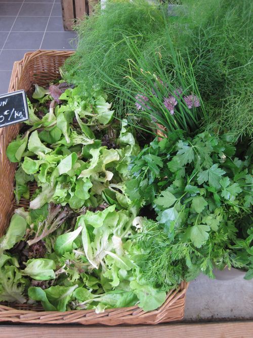 Potager du Roi 9.6.12 001