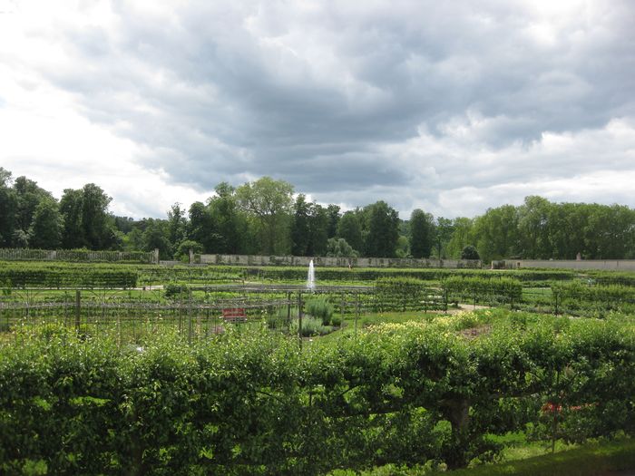Potager du Roi Frauke 050