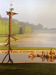 images Penone Versailles