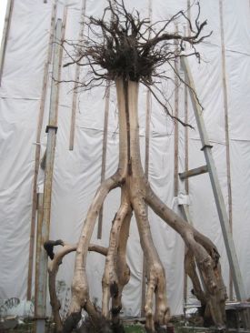 Institut Culture Islam Jan 14 016