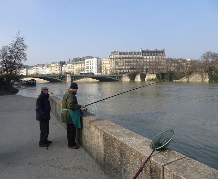 DSC02603 Hochwasser 22.2 (7)