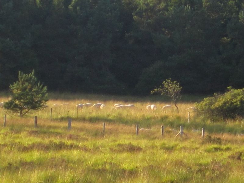 correze-millevaches-meymac-vienne-quelle-moor-051