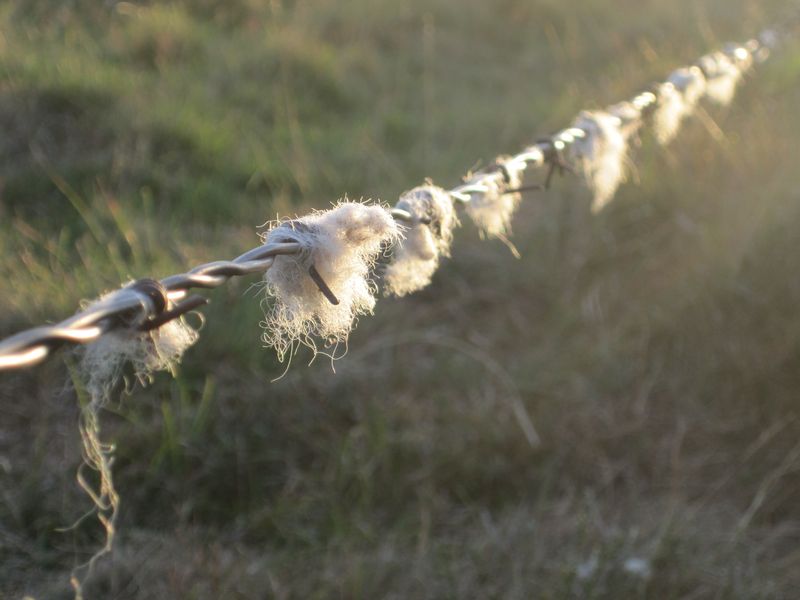 correze-millevaches-meymac-vienne-quelle-moor-060