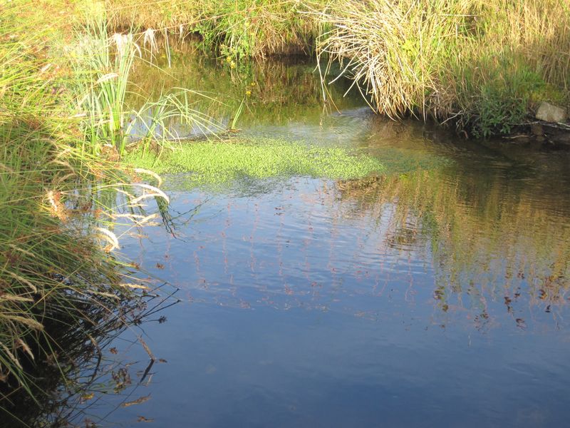 correze-millevaches-vezere-039