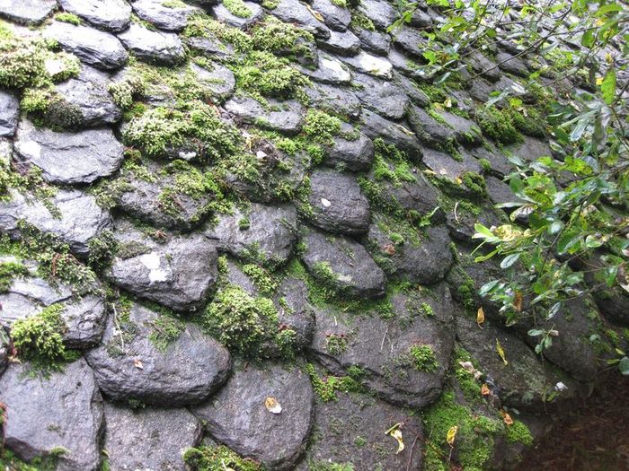 trockenhutte-esskastanien-049