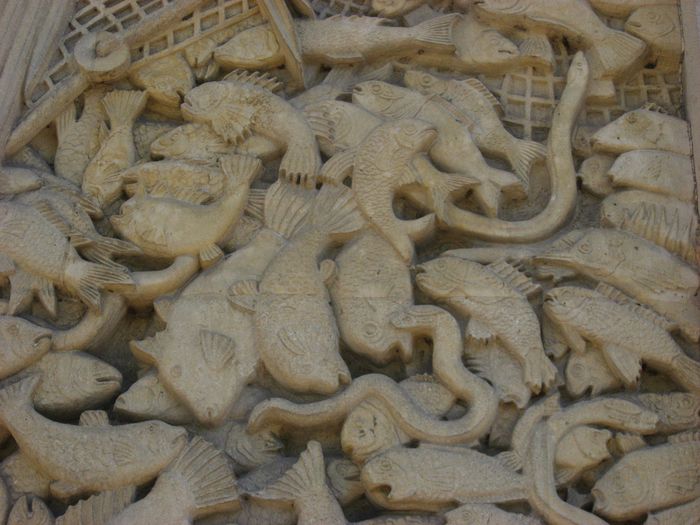 IMG_9389 Porte Doree Fischreichtum