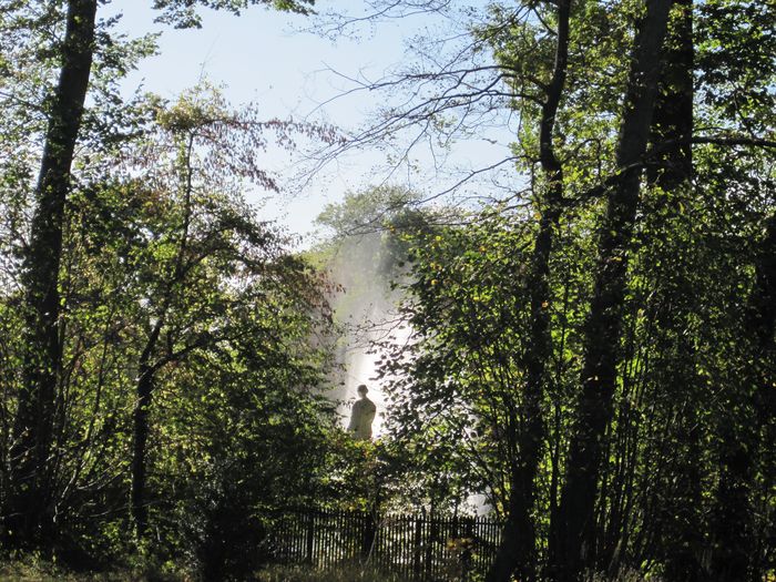 Versailles 010