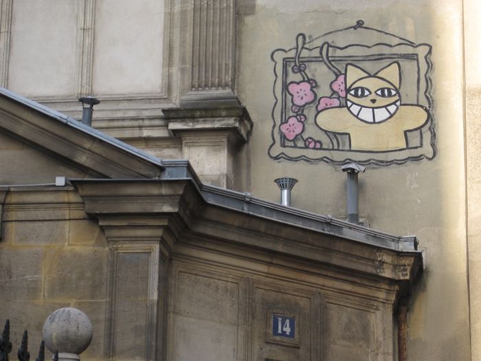 001 Kater Ecole des Beaux Arts