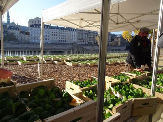 DSC03032 Blumenverkauf 11. nov