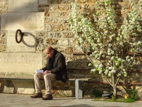 DSC03146 Berges de Seine