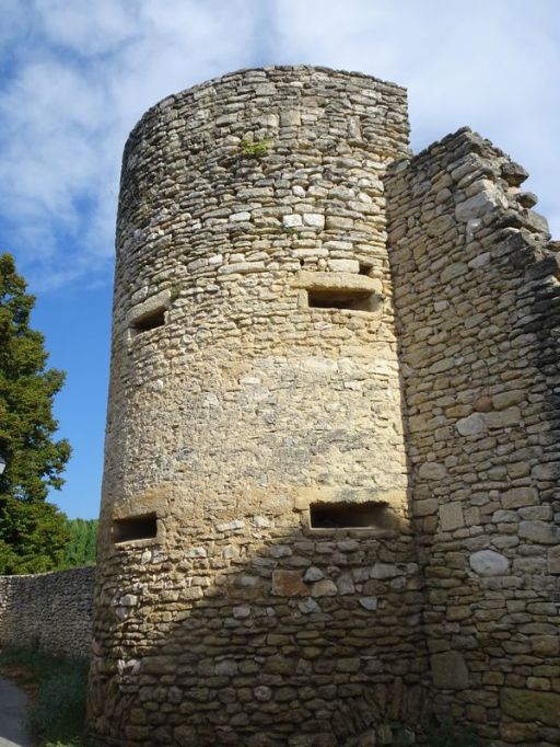 DSC01753 Ca brieres d'Avignon (13)