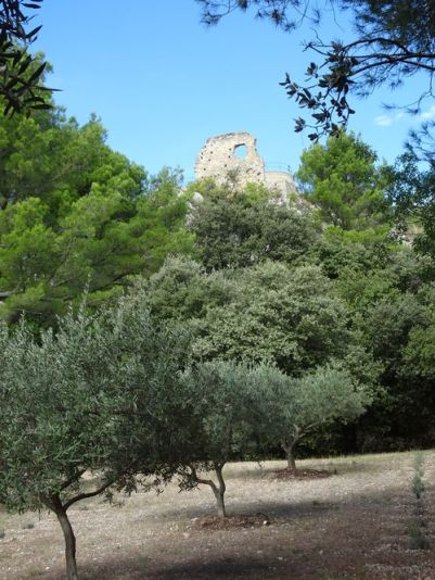 DSC01813 Merindol (26)