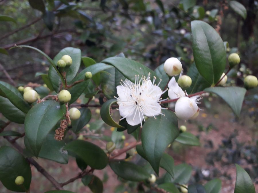 Dieses Bild hat ein leeres alt-Attribut; sein Dateiname ist 20230612_195649.jpg