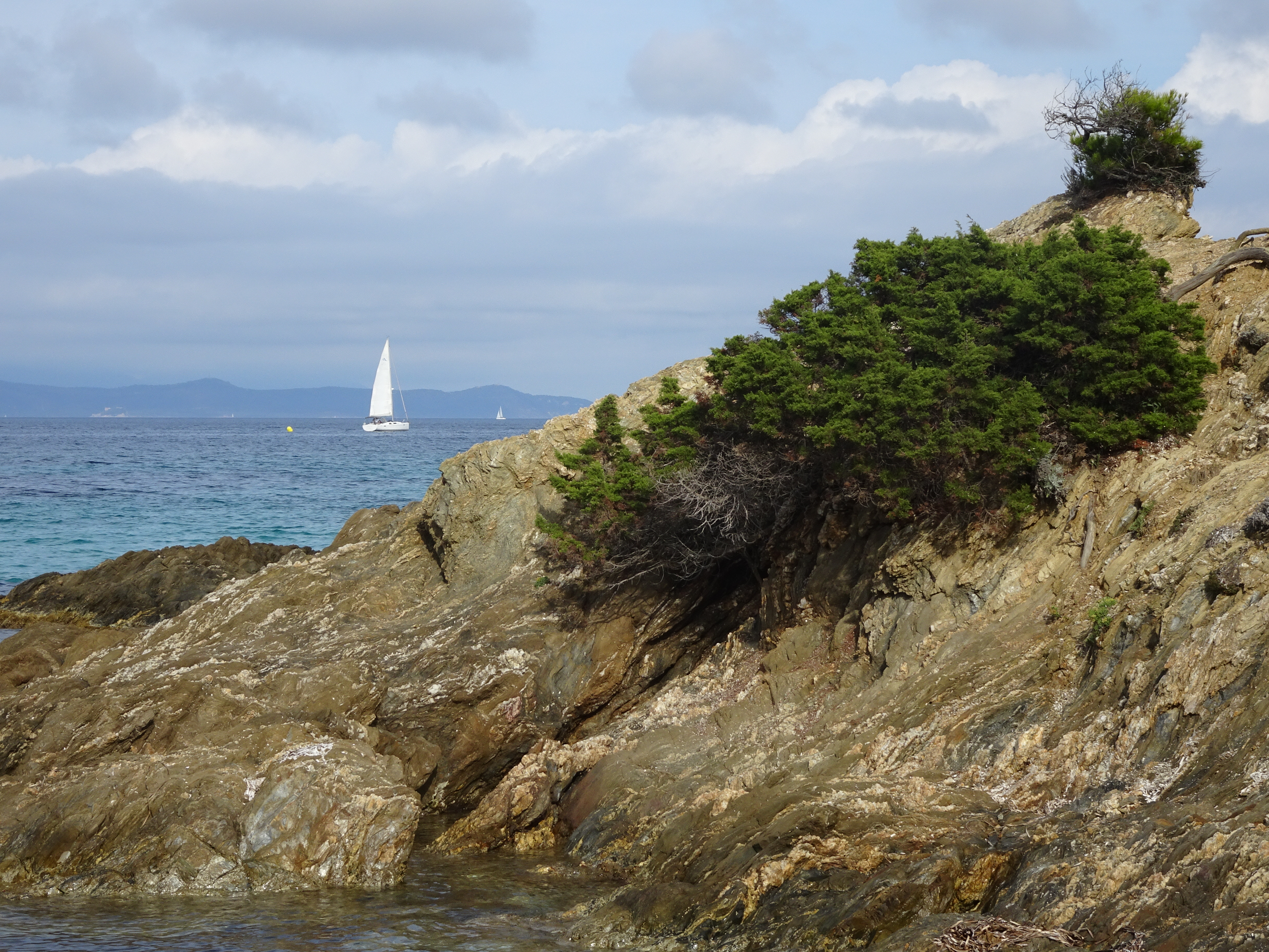 DSC00892 Giens Porquerolles Sept 2017 (11)