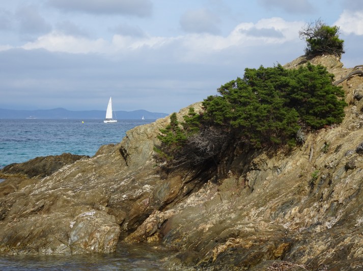 DSC00892 Giens Porquerolles Sept 2017 (11)