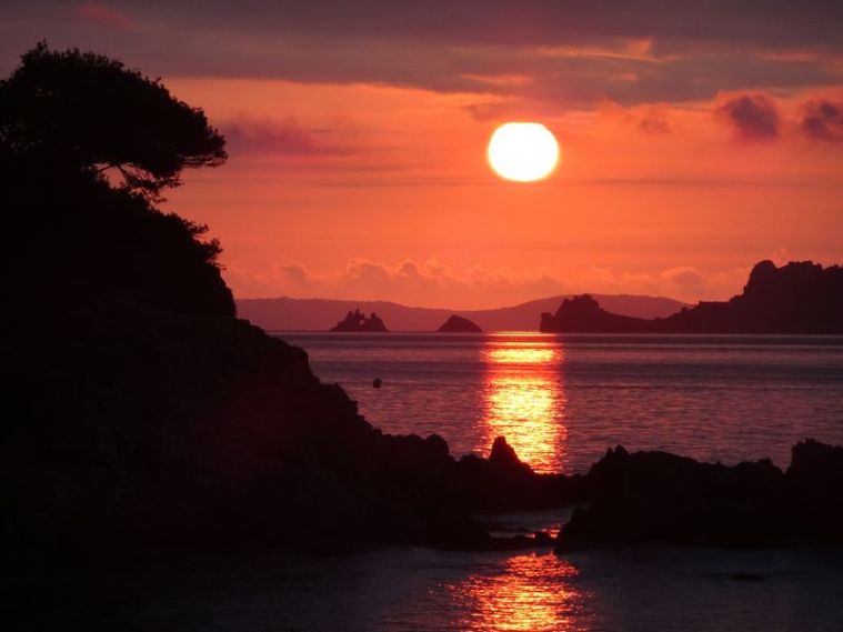 DSC00892 Giens Porquerolles Sept 2017 (13)