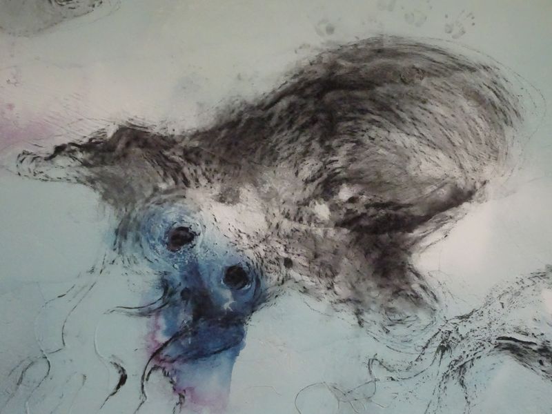 DSC01937 Fondation Carmignac (45)