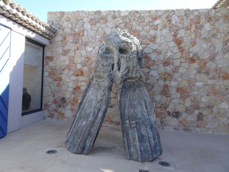 DSC01937 Fondation Carmignac (77)