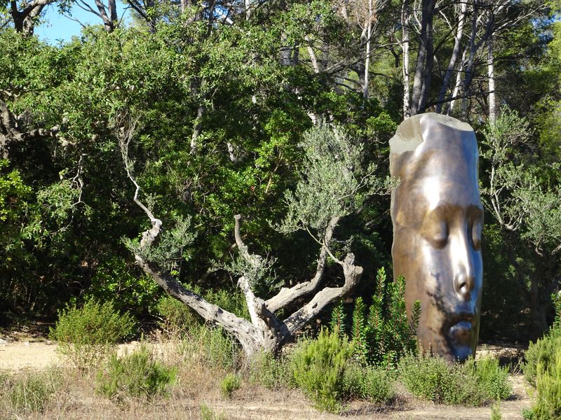 DSC02103 Fondation Carmignac (22)