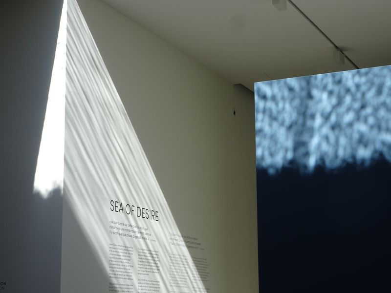 DSC02103 Fondation Carmignac (71)