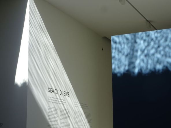 DSC02103 Fondation Carmignac (71)