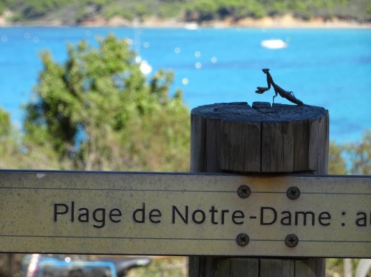 DSC02106 3.10. Porquerolles (23)