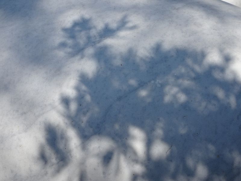 DSC05007 Porquerolles Carmignac (16)