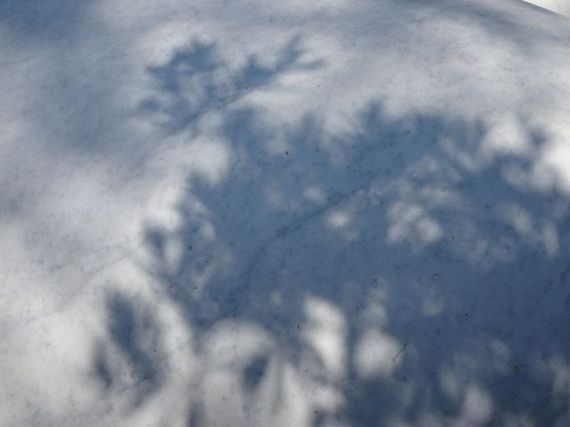 DSC05007 Porquerolles Carmignac (16)