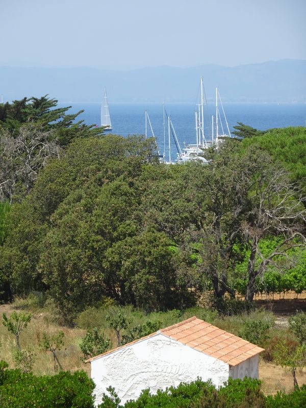 DSC05007 Porquerolles Carmignac (45)