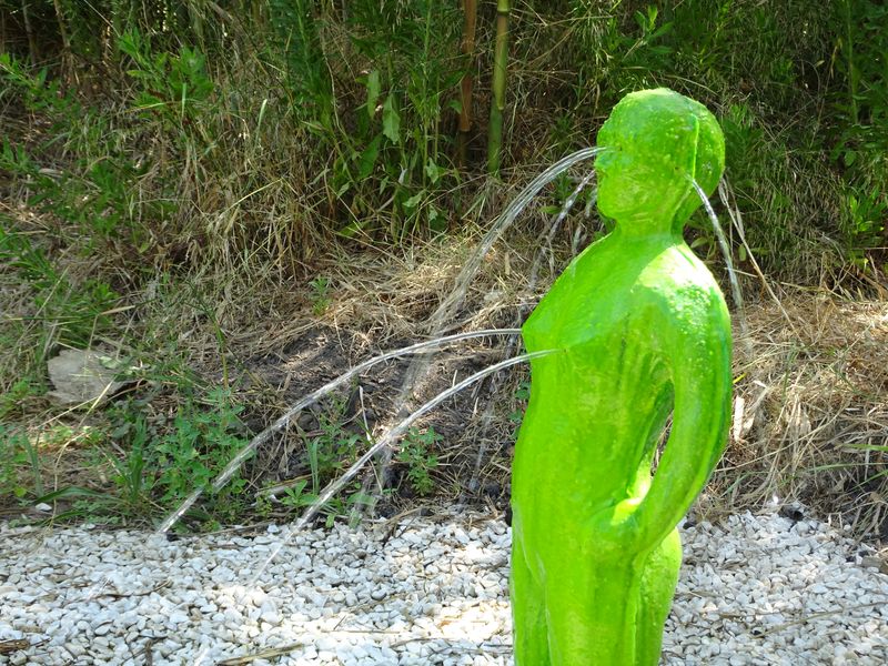 DSC05007 Porquerolles Carmignac (7)