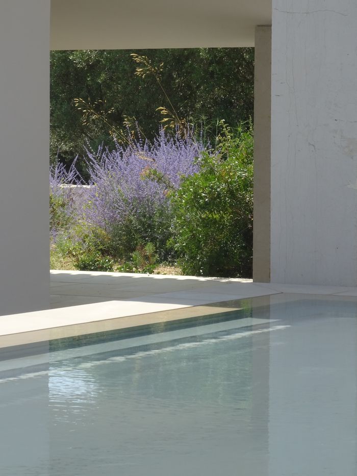 Dieses Bild hat ein leeres alt-Attribut; sein Dateiname ist dsc08799-porquerolles-49.jpg