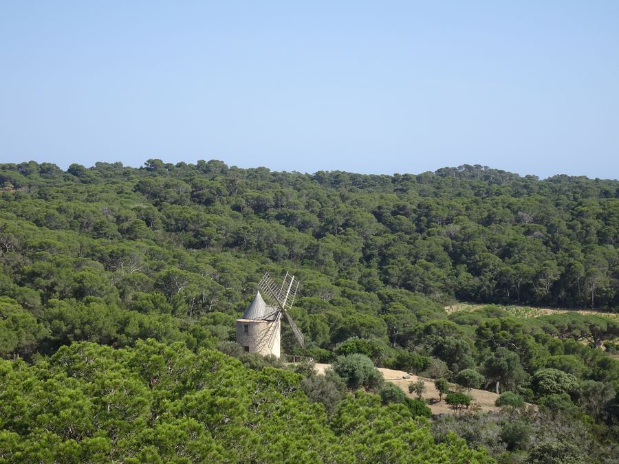 Dieses Bild hat ein leeres alt-Attribut; sein Dateiname ist dsc08799-porquerolles-giens-2023-119.jpg