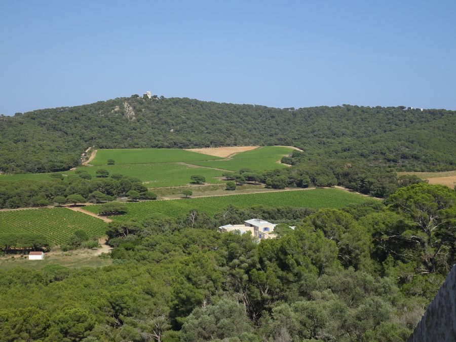 Dieses Bild hat ein leeres alt-Attribut; sein Dateiname ist dsc08799-porquerolles-giens-2023-134.jpg