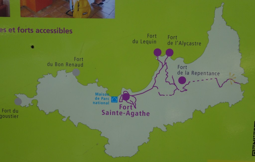 Dieses Bild hat ein leeres alt-Attribut; sein Dateiname ist dsc08799-porquerolles-giens-2023-84.jpg