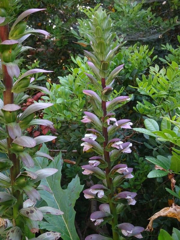 Dieses Bild hat ein leeres alt-Attribut; sein Dateiname ist kopie-von-dsc08799-porquerolles-giens-2023-156-kopie.jpg