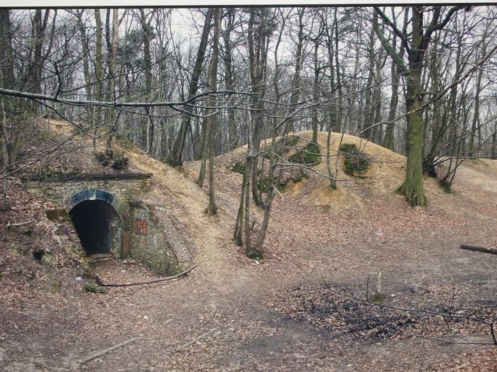 DSC02843 9.11. Ausstellungen Mairie (16)