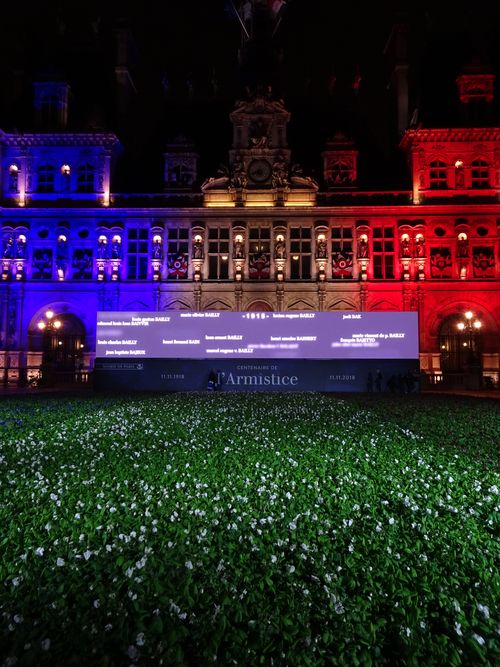 DSC02895 Hôtel de Ville Blumenteppich (4)