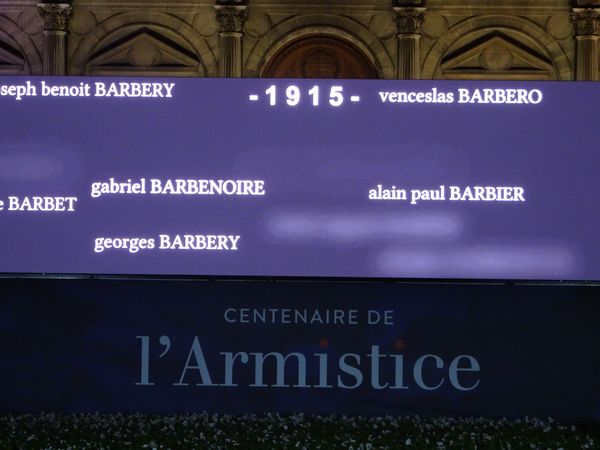 DSC02895 Hôtel de Ville Blumenteppich (5)