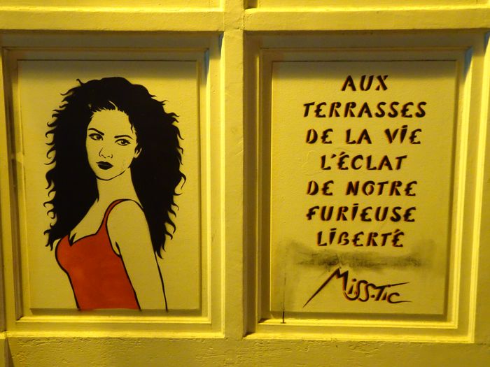 Miss Tic Buttes aux Cailles (16)