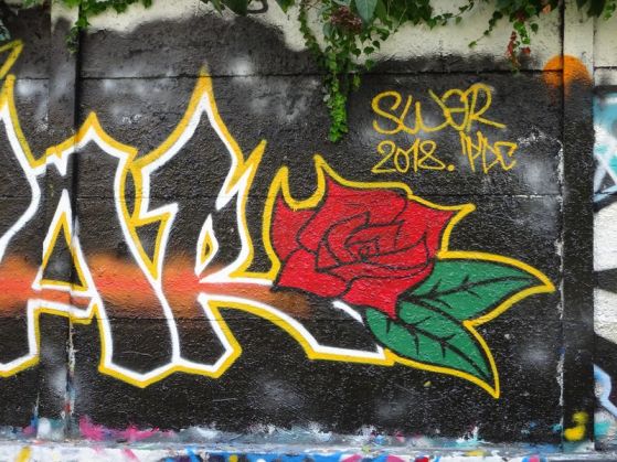 dsc01592 petite ceinture bagnolet (19)