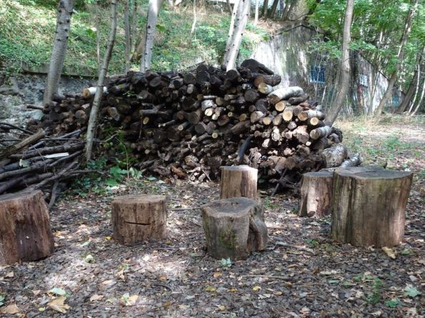 DSC01399 petite ceinture 16ieme (13)