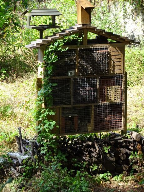 DSC01399 petite ceinture 16ieme (20)
