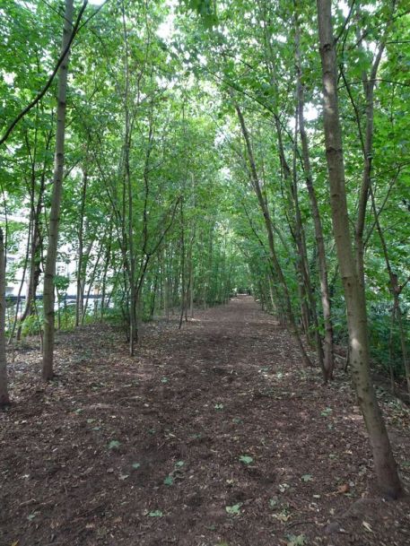 DSC01399 petite ceinture 16ieme (4)