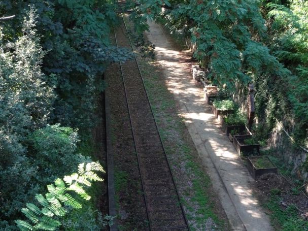 DSC01461 petite ceinture 13ieme (2)