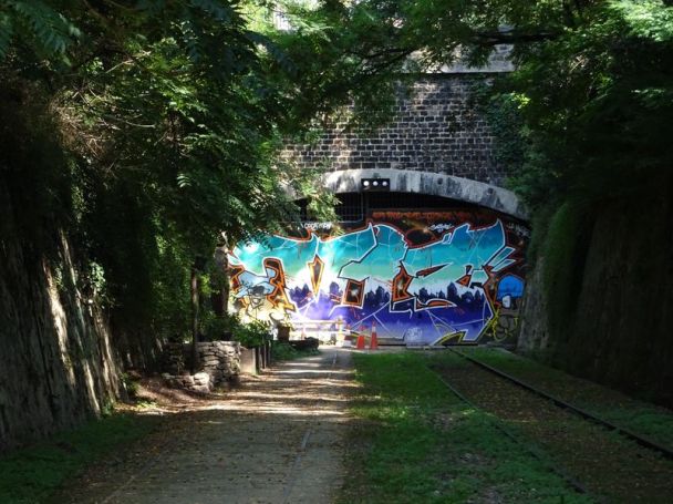 DSC01461 petite ceinture 13ieme (6)