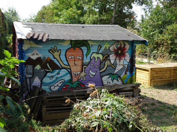 DSC01570 Petite ceinture 12ieme (11)